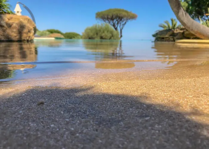 La California סן-מקסים